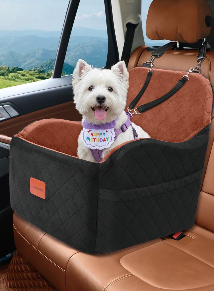 Small dog settled in a cushioned pet car bed