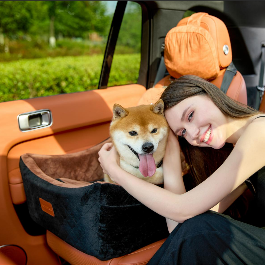 Dog resting beside family inside a car
