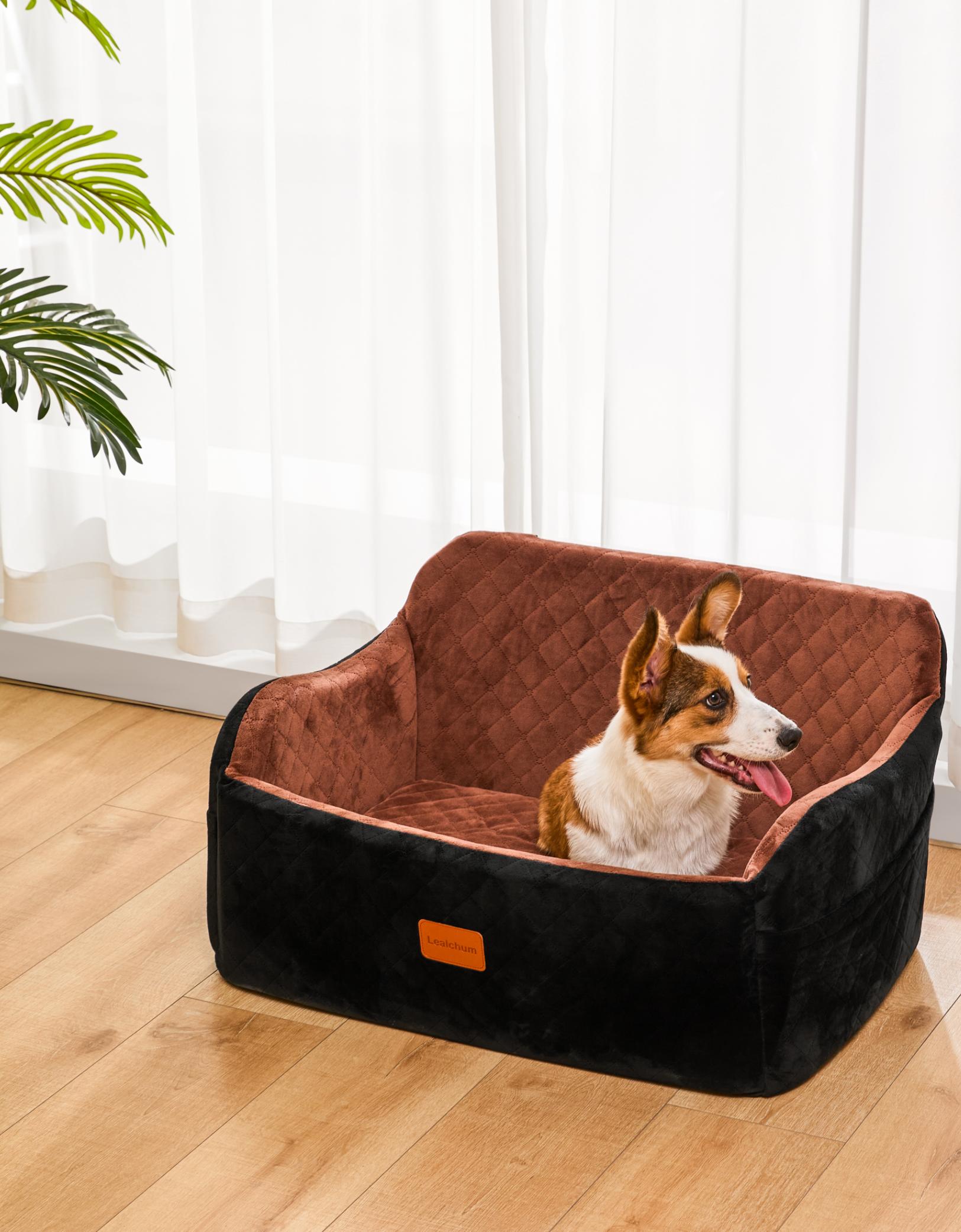 Pet bed in a living room