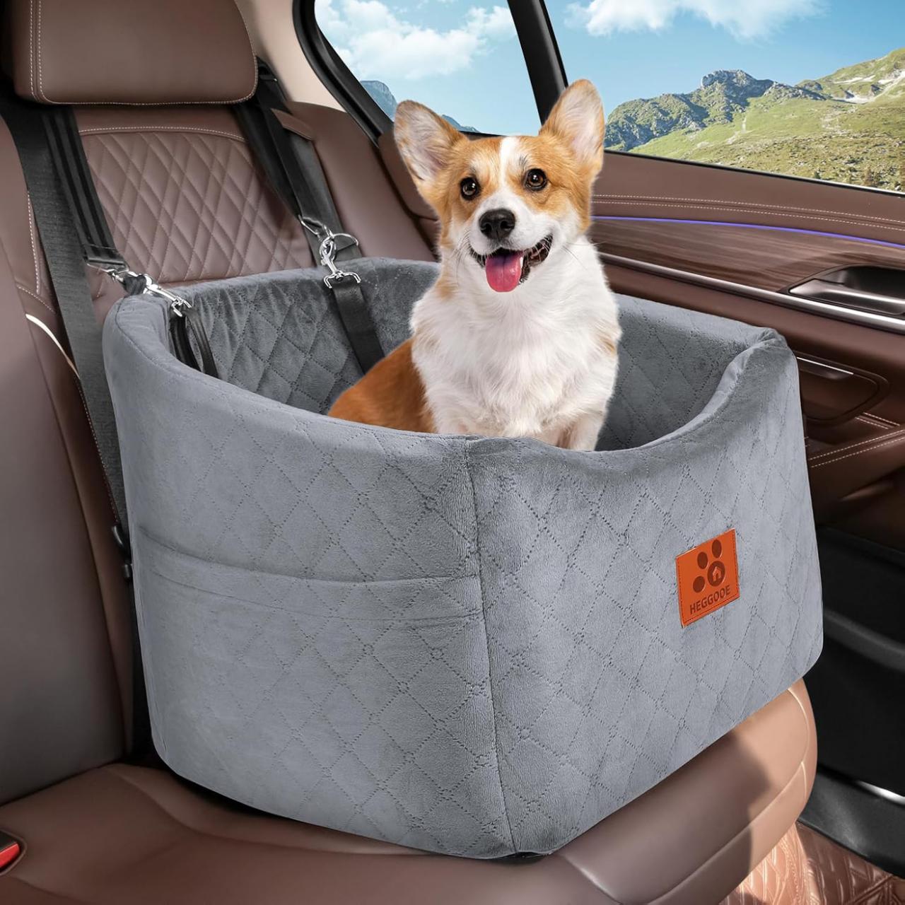 Small dog in a raised grey travel seat